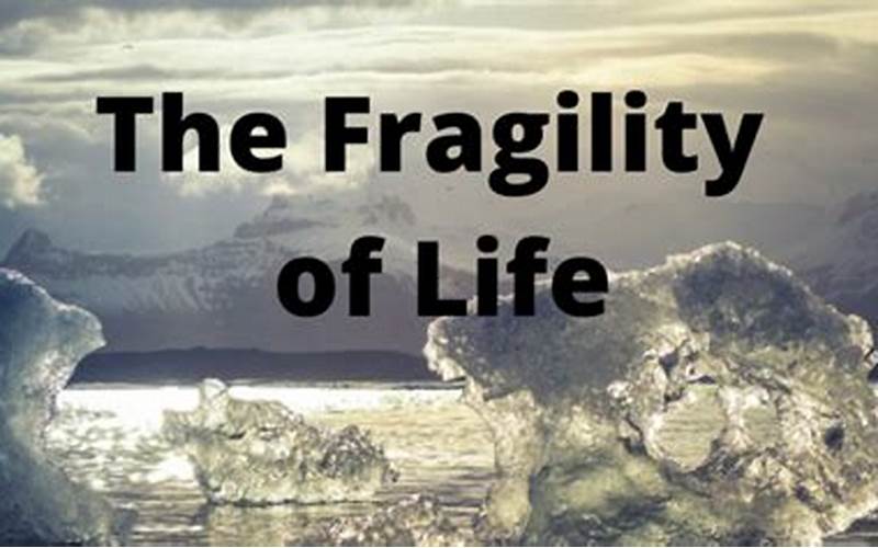 The Fragility Of Life