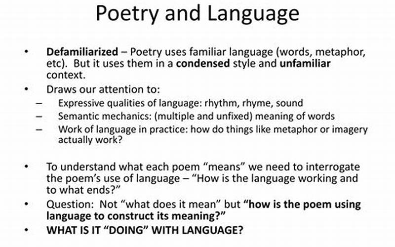 The Function Of Language In Poetry