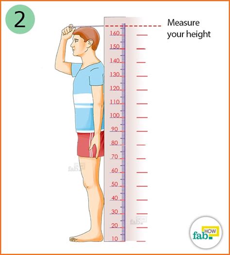 Height Charts! Height chart, Chart, Height