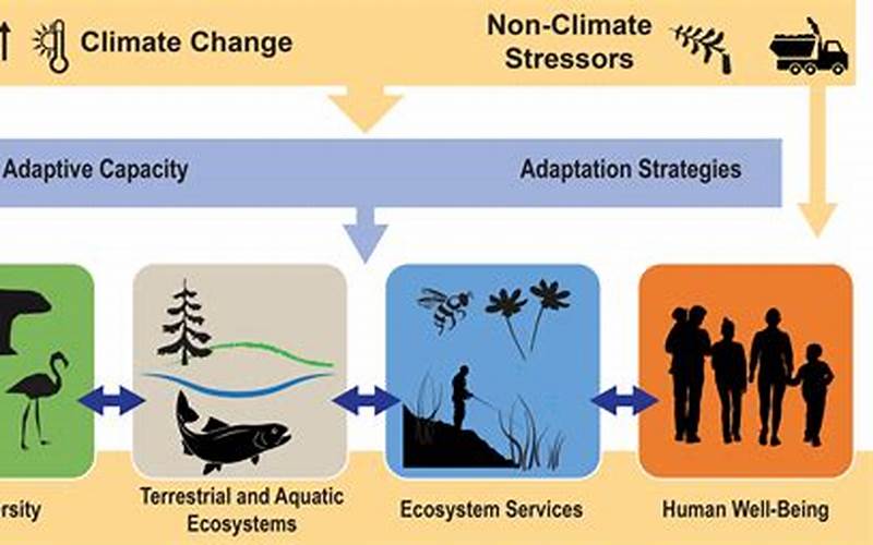 The Impact Of Climate Change On Local Ecosystems