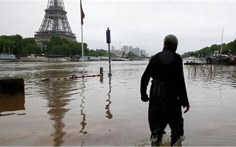 The Impact Of Paris
