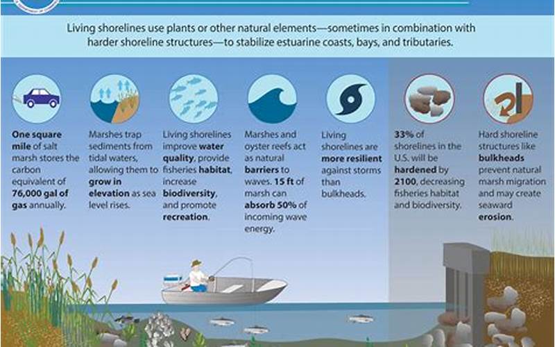 The Importance Of Incorporating Coastal Elements