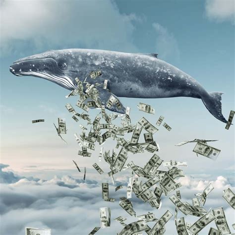 The Influence Of Whales: Understanding Large Investors' Impact On Prices