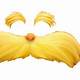 The Lorax Mustache And Eyebrow Template