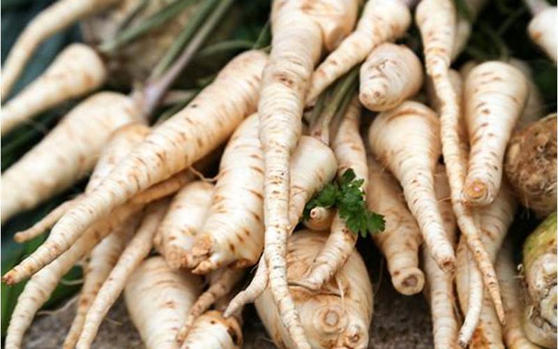 The Nutty Root Vegetable: Parsnips