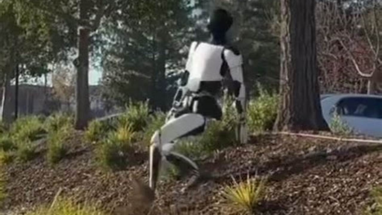 The Perfect Robot Fall Robot., Images