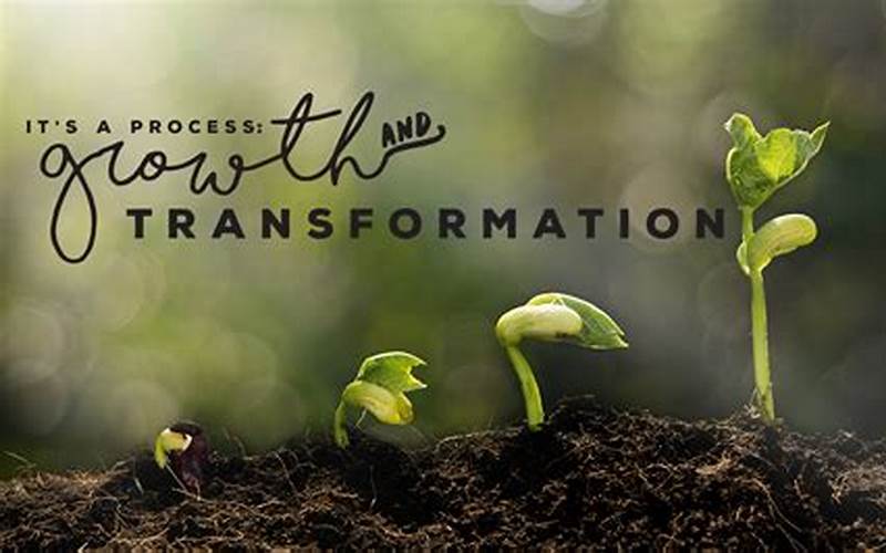 The Potential For Growth And Transformation