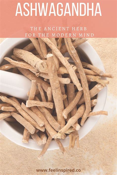 Ashwagandha. The ancient herb for the modern mind. in 2021