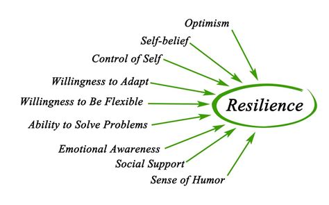 Resilience is “the core strength you use to lift the load of life.” The