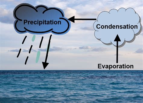 The Precipitation Process