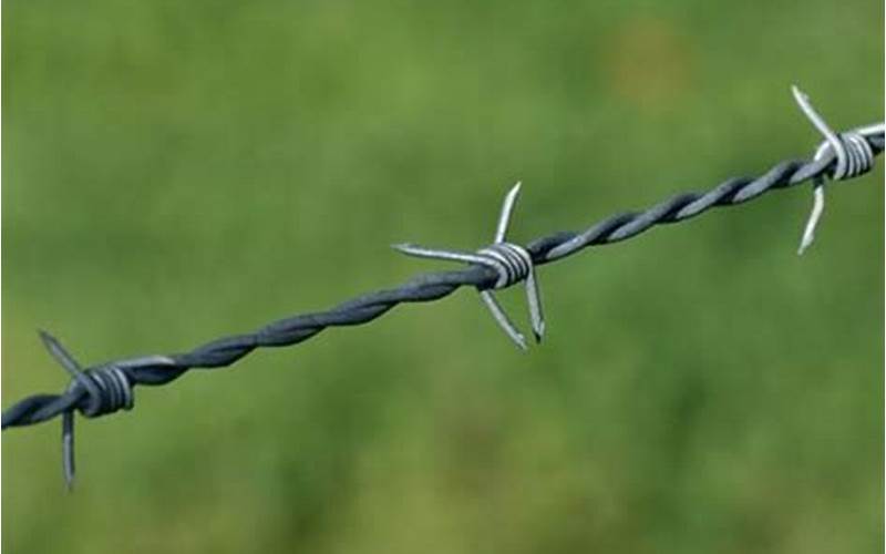 The Pros And Cons Of Barbed Wire On Privacy Fences: A Detailed Explanation