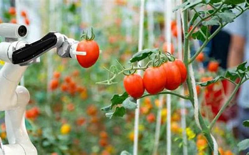 The Role Of Ai In Enhancing Food Sustainability