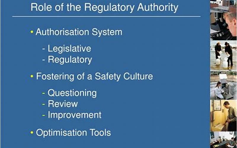 The Role Of Regulatory Authorities
