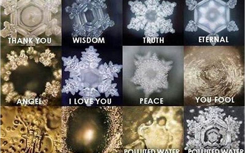 The Science Behind Dr. Emoto'S Experiment