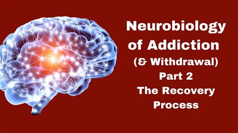 PowerPoint Presentation The Neurobiology of Addiction Simplified