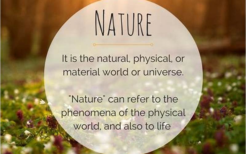 The Symbolism Of Nature