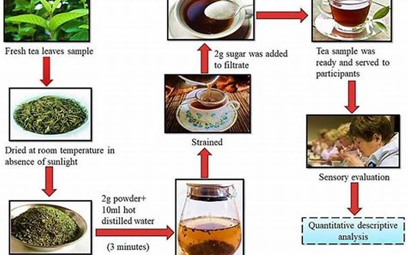 The Tea-Making Process