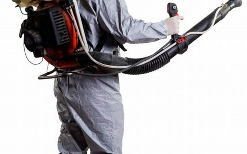 The Ultimate Guide To Affordable Car Fumigation Costs