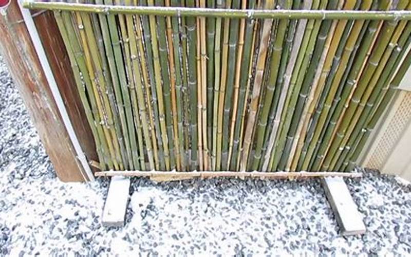 The Ultimate Guide To Building A Youtube Bamboo Privacy Fence