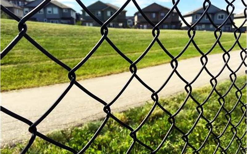 The Ultimate Guide To Privacy Chain Link Fence: Advantages, Disadvantages, And Faqs