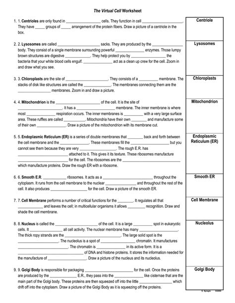 The Virtual Cell Worksheet