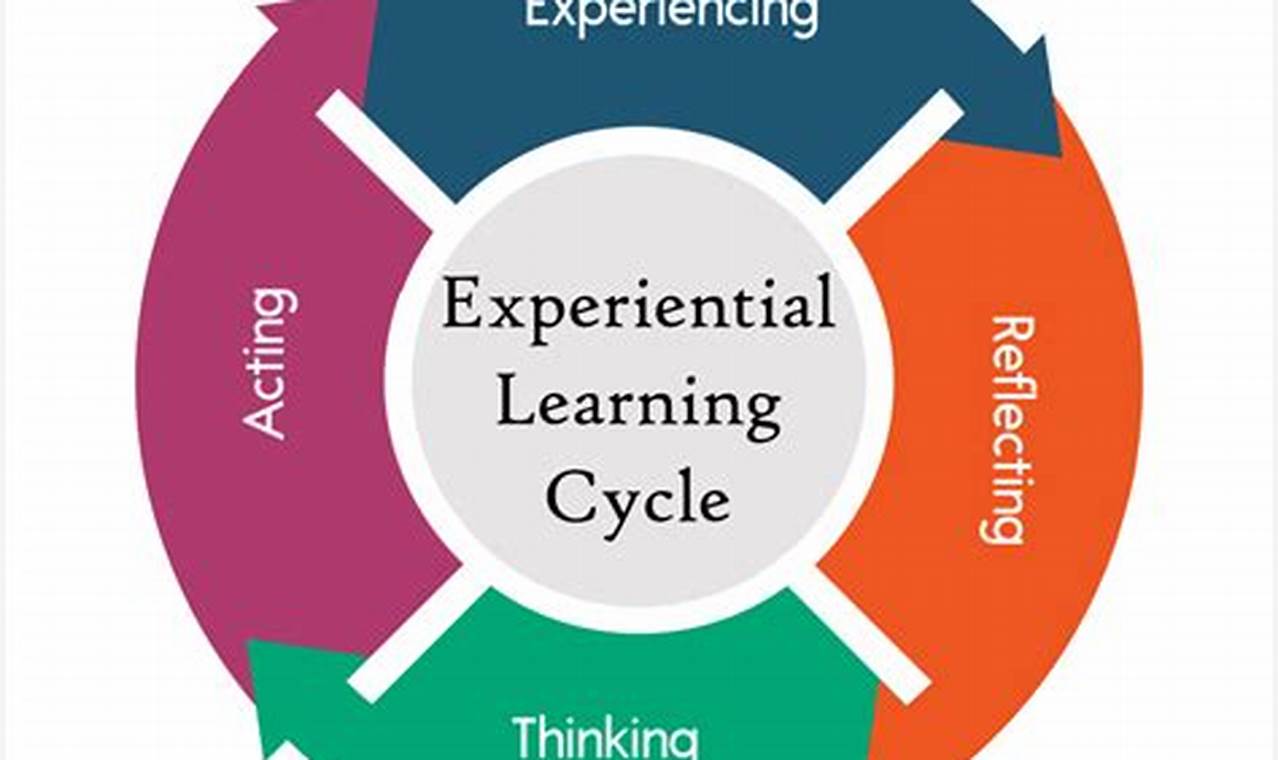The Role of Experiential Learning in Career Readiness