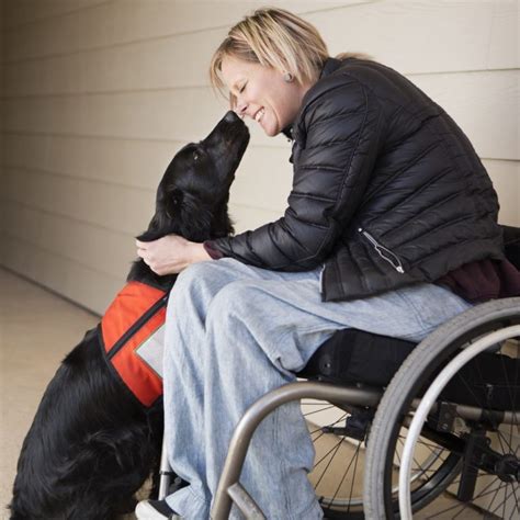 How assistance dogs can help people with... Disability Support Guide