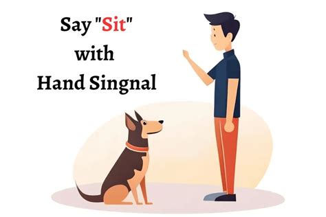 The "Sit" Command