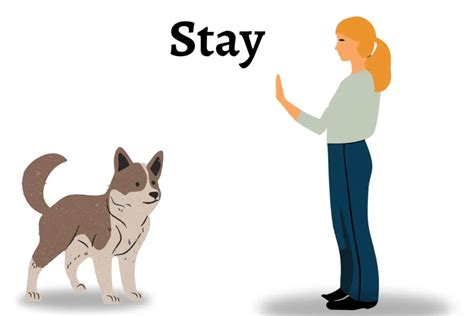 The "Stay" Command