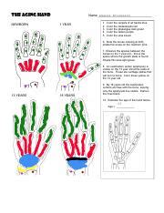The Aging Hand Worksheet