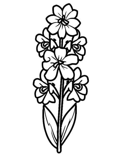 The Alluring Larkspur