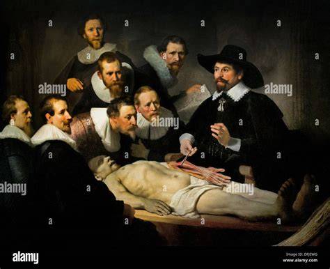 Image of a person studying a body
