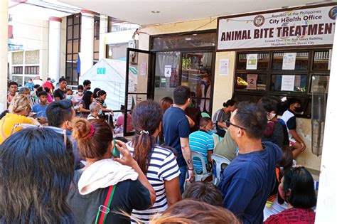 The Animal Clinic Center: Expert Veterinary Care for Your Furry Friends