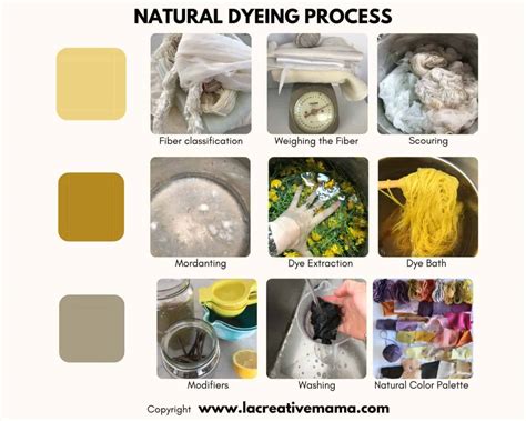 The At-Home Dyeing Process: A Step-by-Step Guide