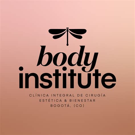 The Auto Body Institute