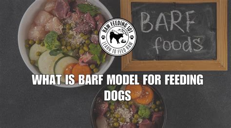 The BARF Model