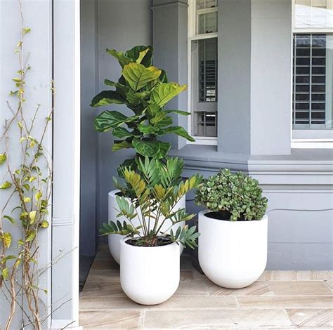 The Balcony Garden Pots: Tips And Ideas For A Lush And Beautiful Outdoor Space