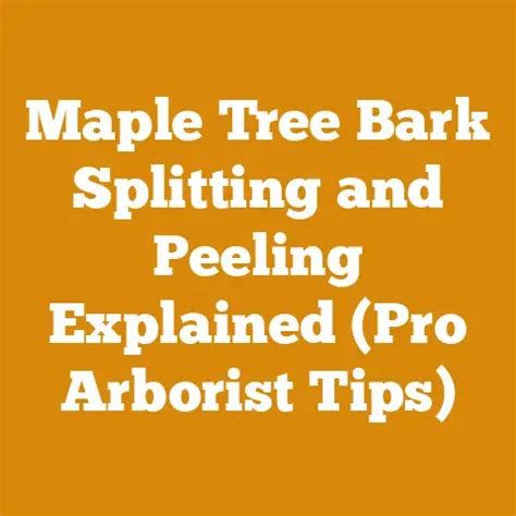 The Bark Peeling Process Explained