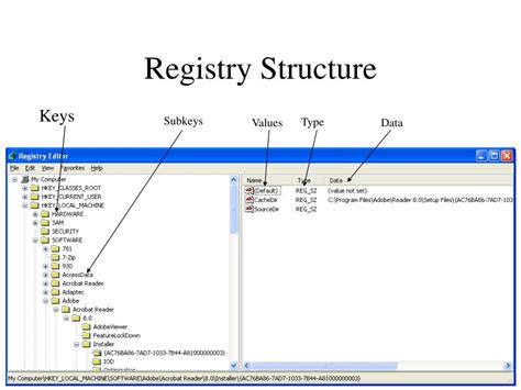The Basic Registry Structure