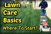 The Basics of Lawn Maintenance