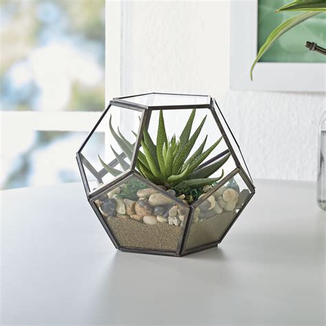 The Beauty of Glass and Metal Terrariums