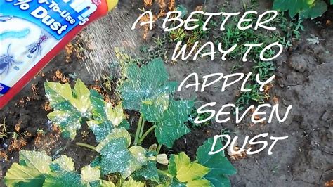 The Best Approach: Insecticide Dusting
