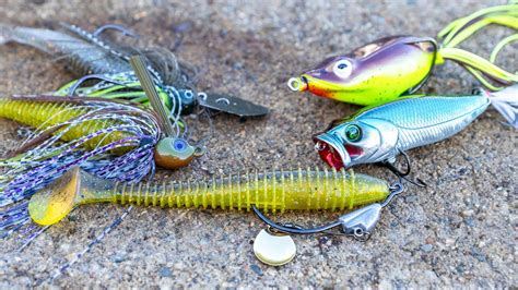 The Best Bait and Lures for Noreaster Fishing