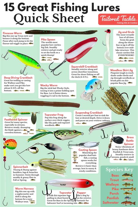The Best Bait and Lures to Use for Different Fish Species