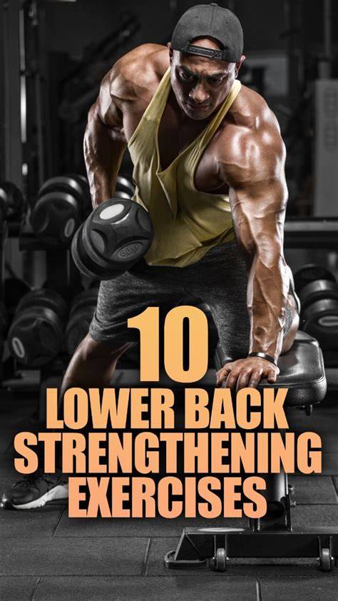 The Best Exercises For Improving Lower Back Resilience