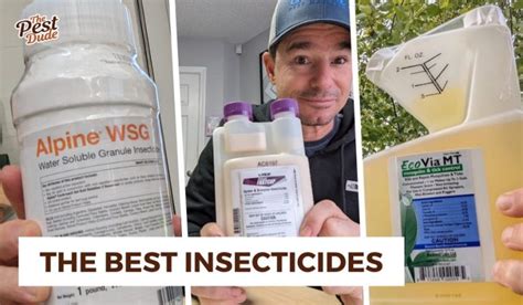 The Best Insecticide Dusts to Use