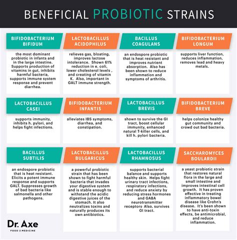 The Best Probiotic Strains For Different Health Goals