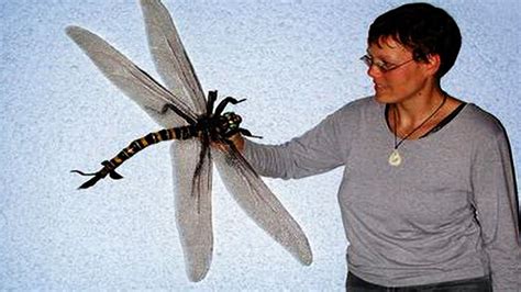 The Biggest Insect