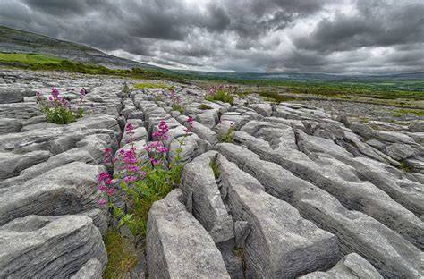 The Burren unique landscape