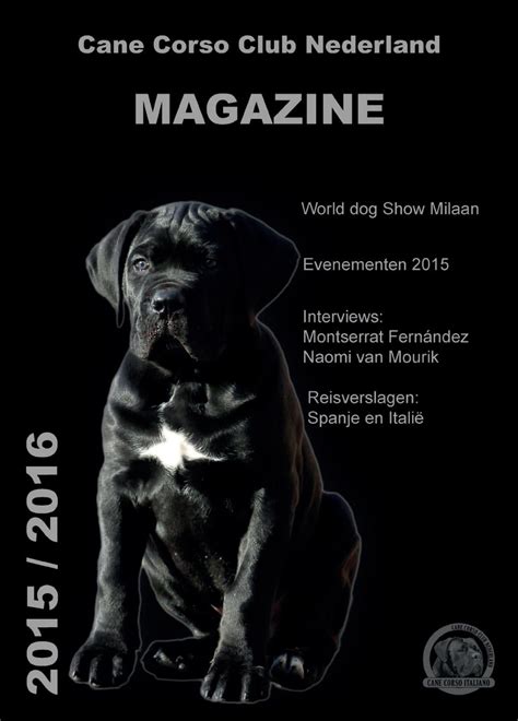 CANE CORSO MAGAZINE In Verto Corso